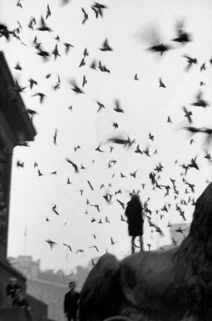 © Sergio Larraín